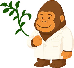 ごりら鍼灸院ごりら整骨院